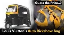 Louis-vuitton-auto-shaped-bag-price-viral
