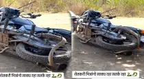 Giant-snake-wraps-around-bike