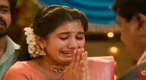 sun-tv-singappenney-anandhi-pregnancy-twist