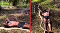 Giant-king-cobra-viral-video