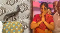 Snake-enters-bedroom-cuddalore