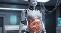 china-pregnancy-robot-research