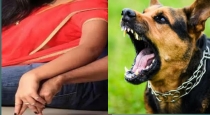 husband-sets-dog-on-wife-lover-in-shocking-revenge-atta