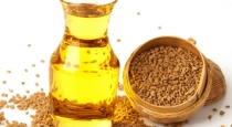 fenugreek-oil-benefits-in-hair-growth