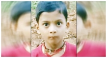 Karnataka-wasp-attack-boy-dies
