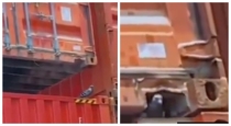 Pigeon-saved-by-operator-viral-video