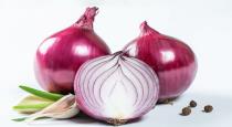 onion-price-update
