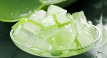 aloe-vera-best-home-remedy-for-constipation