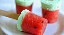 beat-the-summer-heat-with-this-home-made-water-melon-ku