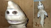 human-faced-white-shark-found-near-indonesia