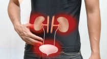 risk-of-kidney-failure-due-to-wrong-diet