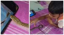 Snake-watching-cartoon-with-boy-viral-video
