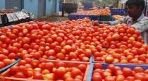 tomato-rate-increased-in-telungana-hyderabad