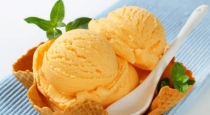 summer-special-orange-ice-cream-home-made-recipe