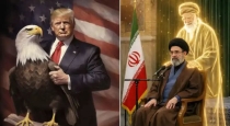 Us-iran-war-trump-victory-announcement