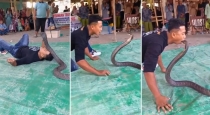 Indonesia-king-cobra-kiss-stunt-viral-video