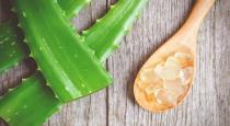 aloe-vera-is-widely-used-in-paranormal-medicine-for-var