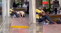 a-pet-dog-approaches-a-homeless-man-and-hugs-him-cute-v