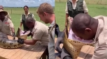 Anaconda-dangerous-stunt-viral-video