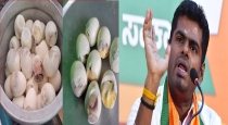TN BJP President Annamalai About Spoiled Egg Served to Students In Kodumudi 