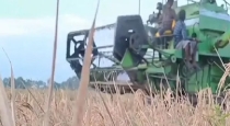 Woman Dies After Getting Trapped in Harvesting Machine in Perambalur