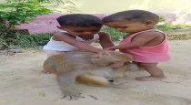 kids-play-with-monkey-video