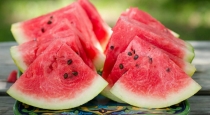 water-melon-seeds-health-benefits