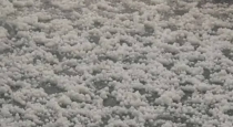 Kashmir-bandipora-hailstorm-crop-damage
