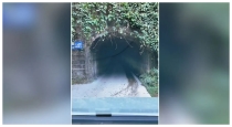 China-chongqing-dangerous-tunnel-viral-video