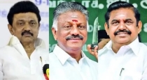 ops-political-strategy-alliance-moves-tamilnadu-politics