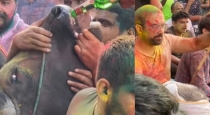 haryana-holi-cow-alcohol-animal-cruelty-video-viral