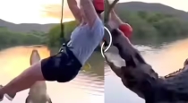 Zipline-crocodile-attack-viral-video
