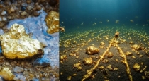 Pacific-ocean-underwater-gold-formation-study