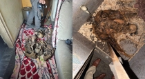Bengaluru-woman-skeleton-found-house-toilet