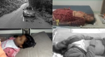 Polavaram-maredumilli-road-accident-couple-killed