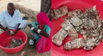 Farmer-forgets-buried-cash-destroyed-by-termites