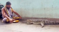 Crocodile-krishna-river-temple-priest-puja