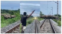 Man-saves-elephants-from-speeding-train