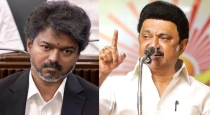 Dmk-mlas-tvk-strategy-political-speculation