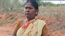madurai-mother-confesses-to-killing-son