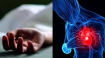 Kerala-brothers-die-of-heart-attack-within-hours