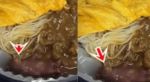 Live-rat-found-in-noodles-hong-kong-restaurant