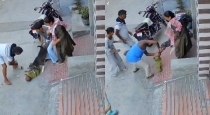 Sonipat-pitbull-attack-six-month-old-baby