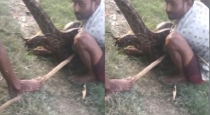 Lakhimpur-kheri-python-attack-farmer-rescued