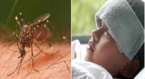 Tamil-nadu-dengue-cases-increase-17649