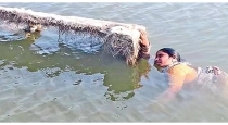 Telangana-woman-rescued-from-haldi-vagu-check-dam