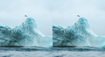 Molly-carlson-iceberg-dive-record