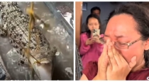 Indonesia-woman-raises-crocodile-as-pet