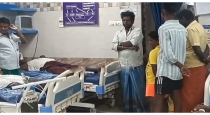 Usilampatti-temple-festival-wasp-attack