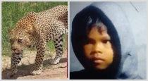 Leopard-attack-6yr-girl-jharkhand